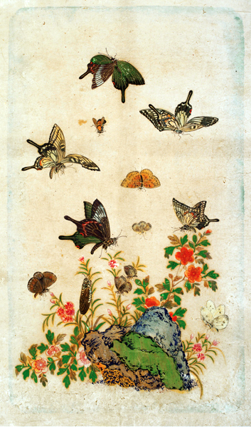 ‘화접도,_19세기. 8첩 병풍, 종이에 채색. 각 50.8 x 31.2cm.