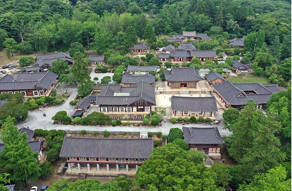차는 자연이 우리 인간에게 준 위대한 선물